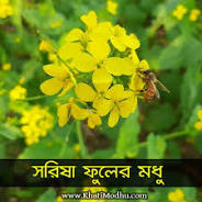 সরিষা ফুলের মধু